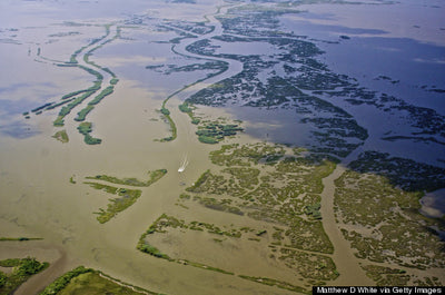 Climate Change and the Louisiana Delta